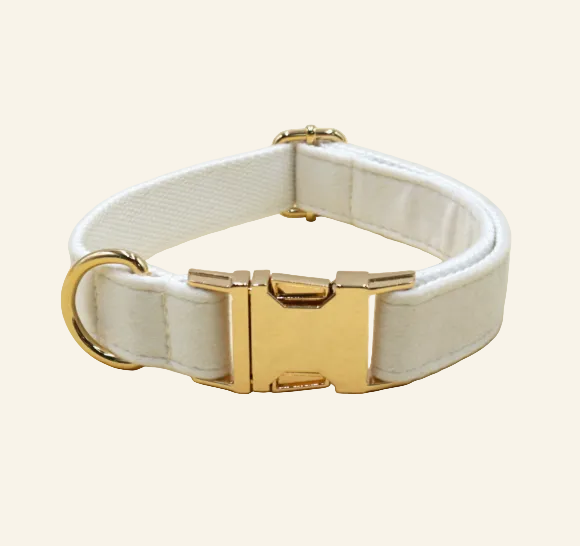 Soft Velvet Dog Collar