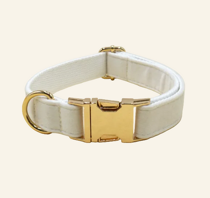 Soft Velvet Dog Collar